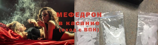 индика Арсеньев