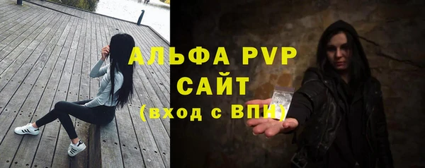индика Арсеньев