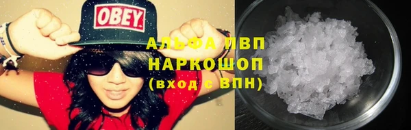 индика Арсеньев