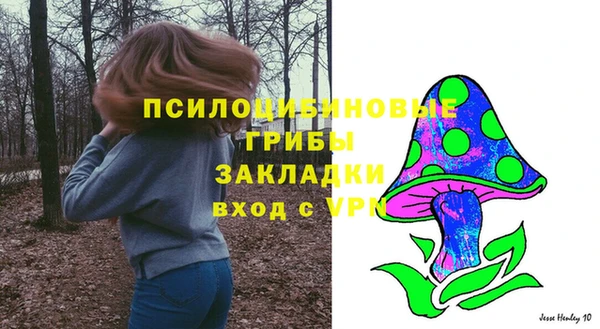индика Арсеньев