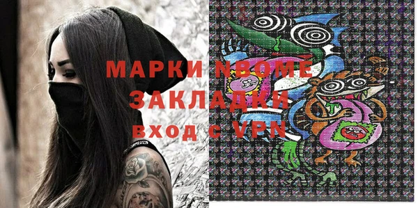 индика Арсеньев