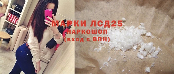 индика Арсеньев
