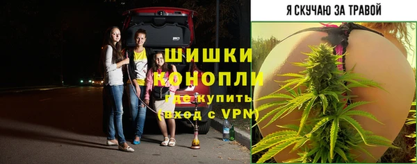 гашик Аркадак