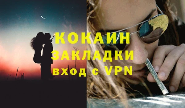 индика Арсеньев