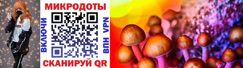 МЕГА ссылки  Торжок  Псилоцибиновые грибы ЛСД 
